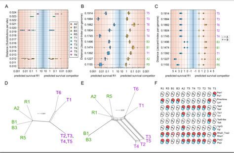 Relative Survival In T6SS Mediated Competition Between Related Strains