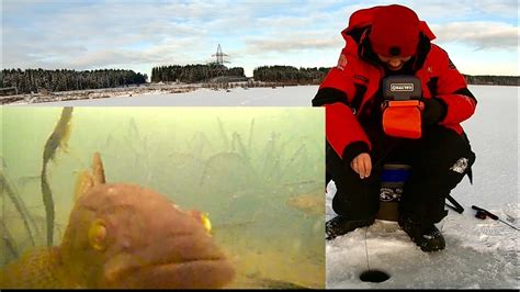 НУ И РОЖА!))) РЫБАЛКА С ПОДВОДНОЙ КАМЕРОЙ. ПЕРВЫЙ ЛЁД. - YouTube