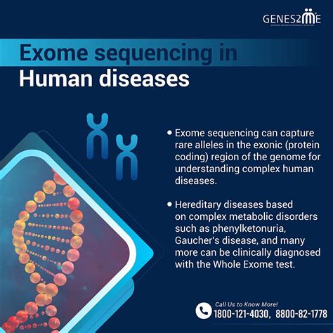 Exome Sequencing In Human Diseases Exome Sequencing Sequencing Genetics