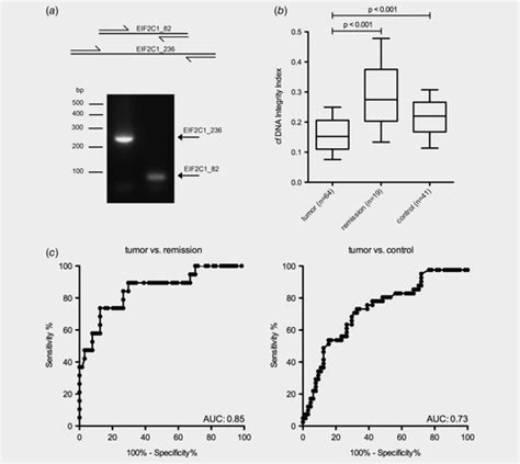 Genotyping Of Circulating Cell‐free Dna Enables Noninvasive Tumor