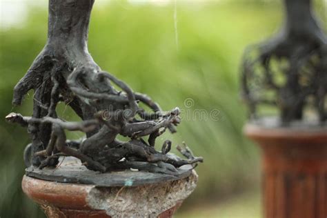 Historical Black Metal Art Sculpture Stock Photo - Image of beautiful ...