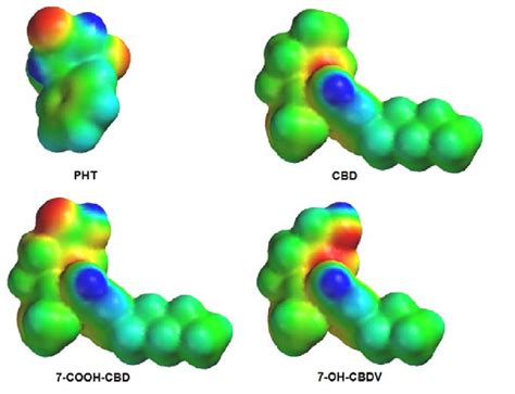 Electrostatic Potential Maps Of Pht Cbd Cooh Cbd And Oh Cbdv In