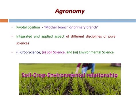 Agronomic Crops Classification - Agriculture | PPT | Free Download