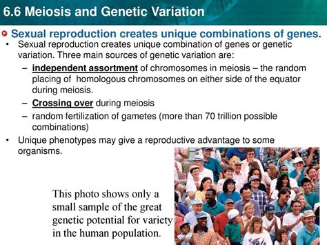 Sexual Reproduction Creates Unique Combinations Of Genes Ppt Download