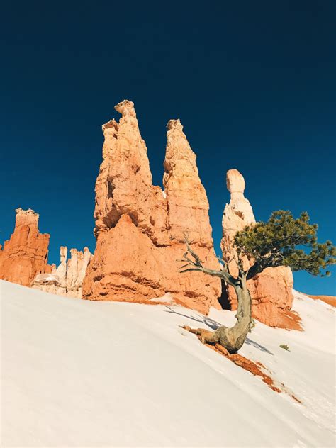 Images Gratuites Paysage Arbre Le Sable Roche Montagne D Sert