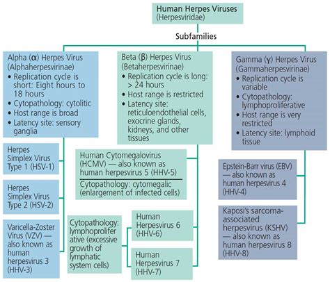 Reducing Transmission of Herpes Simplex Virus Type 1 In Clinical ...