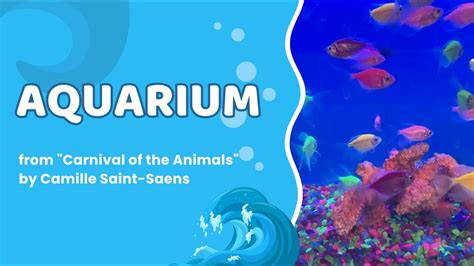 Aquarium Music Part 2 With Names Of Marine Life Relaxing Music For