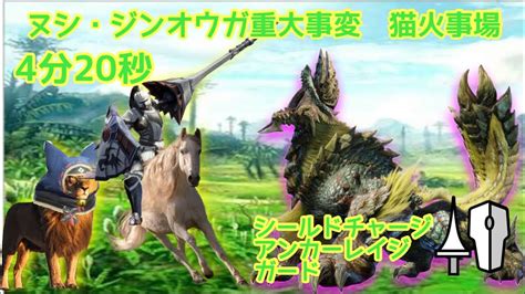 【mhrise Steam版】 ヌシ・ジンオウガ重大事変 アンカーレイジ型ランス ソロ 4分20秒 Apex Zinogre