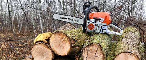 Stihl Ms Chainsaw Review The Best Stihl Chainsaw For You