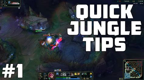 Quick Jungle Tips How To Kite Jungle Camps Youtube