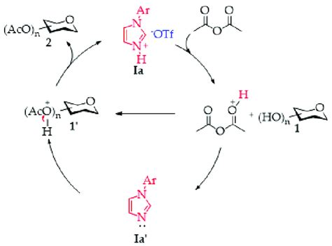 Scheme 2 A Plausible Mechanism Of The Per O Acetylation Reaction