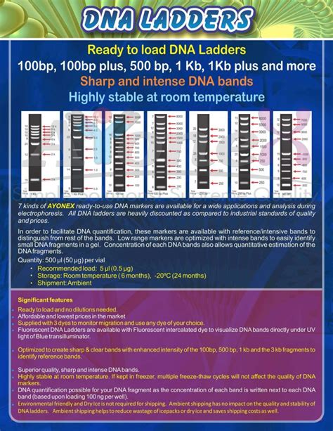 1 Kb Plus DNA Ladder Ayonex