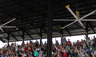 Macon Bacon Baseball - Macon, GA - Coastal Plain League