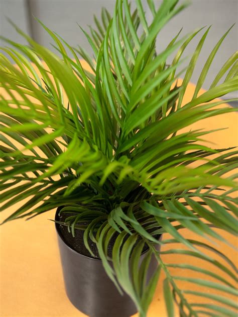 EUROPALMS Areca Palm plante artificielle 46 cm à prix avantageux