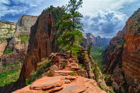 Angels Landing Photos (Page 3) - Joe's Guide to Zion National Park