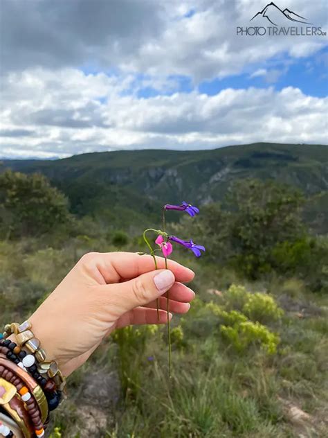 Südafrika Garden Route genaue Tour Tipps alle Highlights