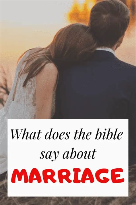 15 Bible Verses About Marriage Important Scriptures