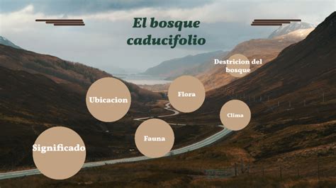 Bosque Caducifolio By Emily Crespo On Prezi