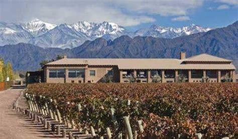 11 Must Visit Mendoza Wineries Mendoza Winery Wine Region