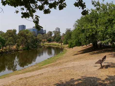 A wander through Parramatta Park | Lost in the Wanderness