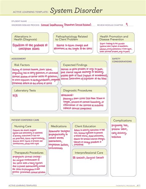 Maternal Remediation Ati Template Active Learning Templates