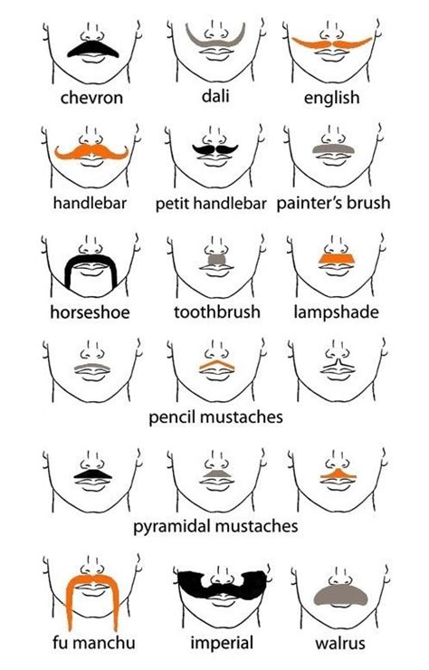 Types Of Mustaches