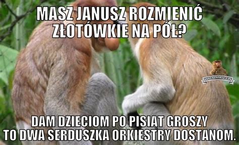 Janusz Nosacz Najlepsze Memy O Januszu Nosacz Gra Ynie Nosacz