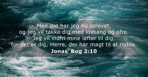 Den Januar Dagens Bibelvers Jonas Bog Dailyverses Net