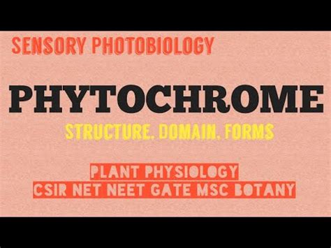 Phytochrome Sensory Photobiology Structure And Function Of