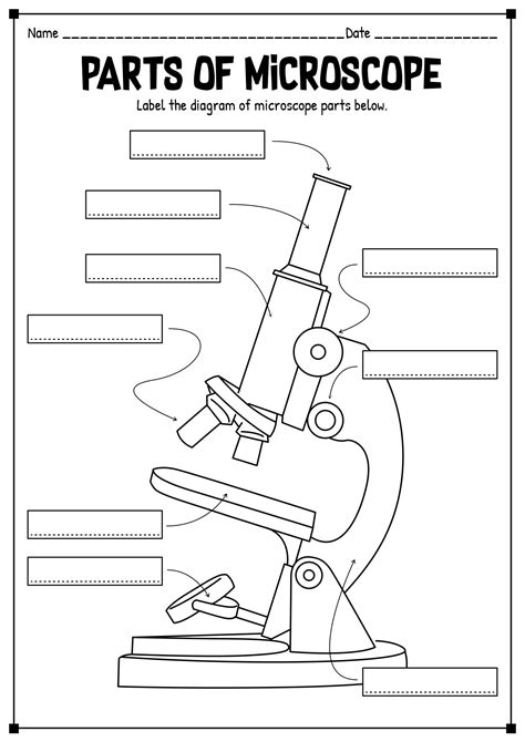 15 Printable Microscope Worksheet - Free PDF at worksheeto.com ...