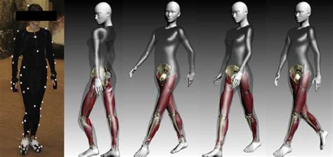 Animation Of A 3d Model With Bones And Muscles Based On Motion Capture