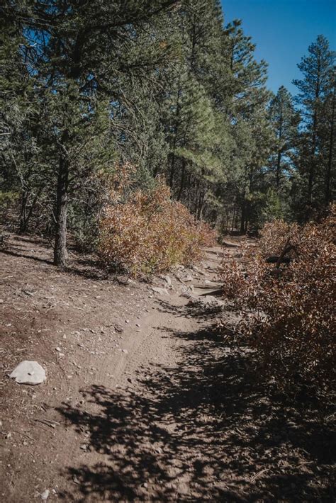 Pine Flat Connector , New Mexico : Off-Road Trail Map & Photos | onX ...