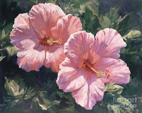 Hibiscus Paintings Pixels