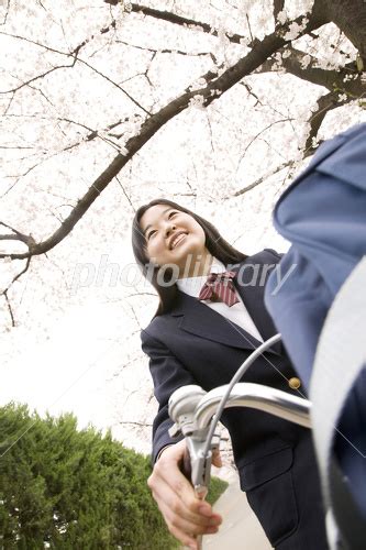 自転車に乗る女子中学生 写真素材 2411696 フォトライブラリー Photolibrary