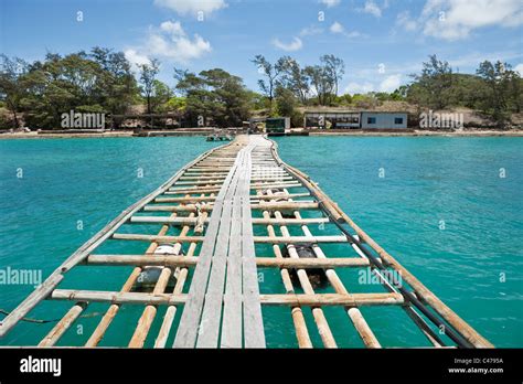 Jetty At Kazu Pearls Friday Island Torres Strait Islands Queensland