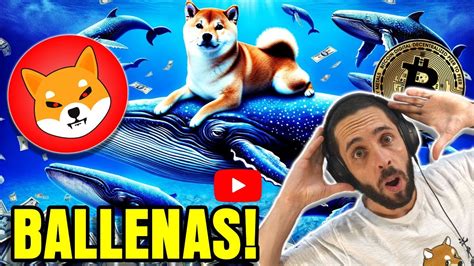 MOVIENDO MILLONES EN SHIBA INU ALGO SE VIENE YouTube