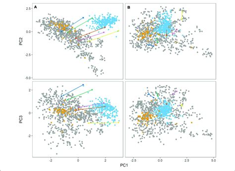 Principal Component Analysis Pca Of Genomic Relationship Matrix Download Scientific Diagram