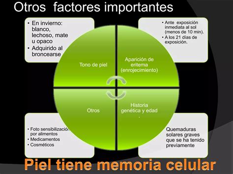 Fototipos Y Escala De Fitzpatrick Ppt