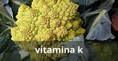 Dove Si Trova La Vitamina K In Quali Alimenti Torrinomedica