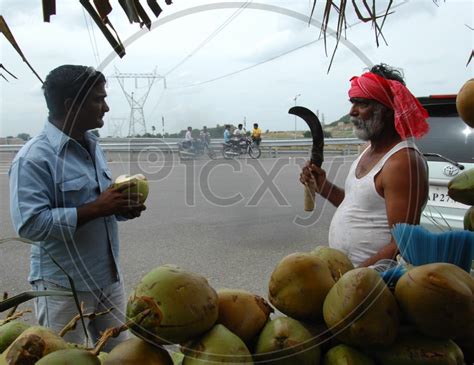 Image Of Coconut Vendor Chopping Coconut At A Highway Road Side