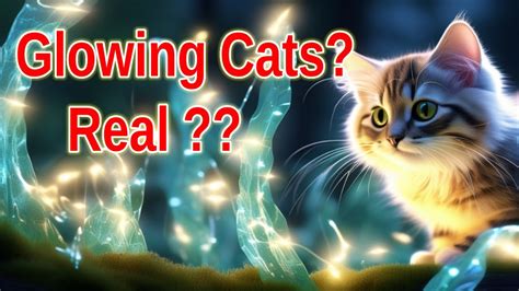 Glowing Cats Are Real Science Creates Bioluminescent Kitties In South Korea Youtube