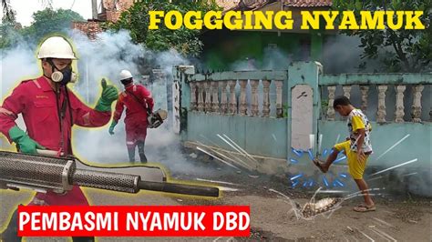 DD Fogging Part 3 Fogging DBD Nyamuk Demam Berdarah YouTube