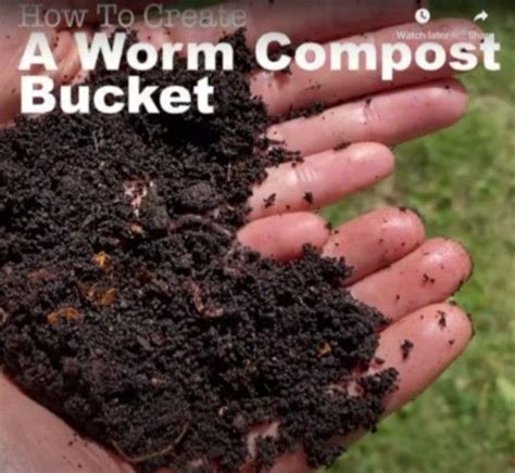 Vermicomposting, or worm composting, produces a nutrient-rich soil ...