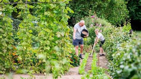 Fertiliser Le Potager Voici Comment Obtenir Une R Colte Abondante Dcm