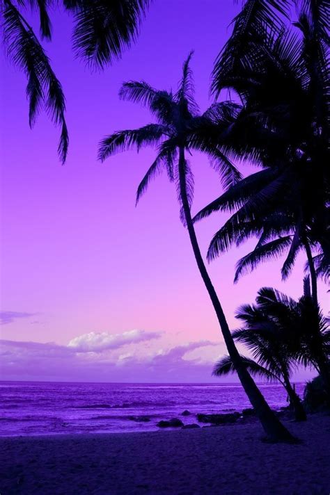 Purple Sunset Wallpaper - Palm Trees Sunset Purple (#1943899) - HD ...