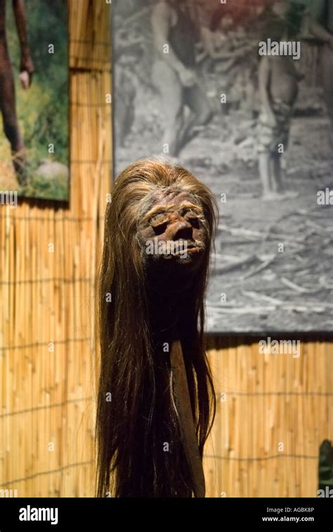 shrunken human head Ripley s Believe It Or Not Museum St Augustine ...