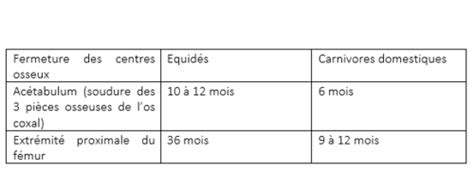 Biom Canique Membre Pelvien Cartes Quizlet