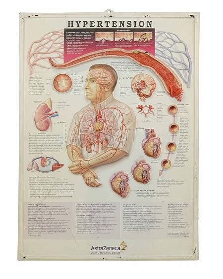 Anatomical Framed Posters Film Medical