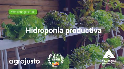 Webinar Hidroponia Productiva Para Emprendedores Agrojusto Argentina