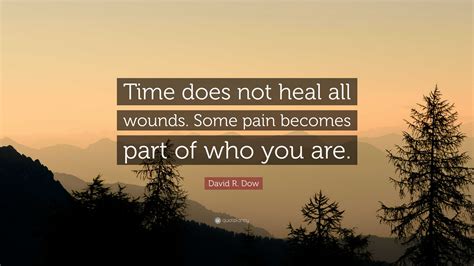 David R Dow Quote Time Does Not Heal All Wounds Some Pain Becomes